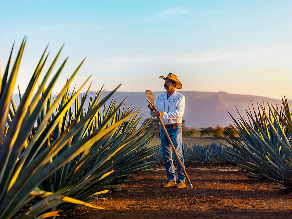 Lanzamiento Luna Llena
